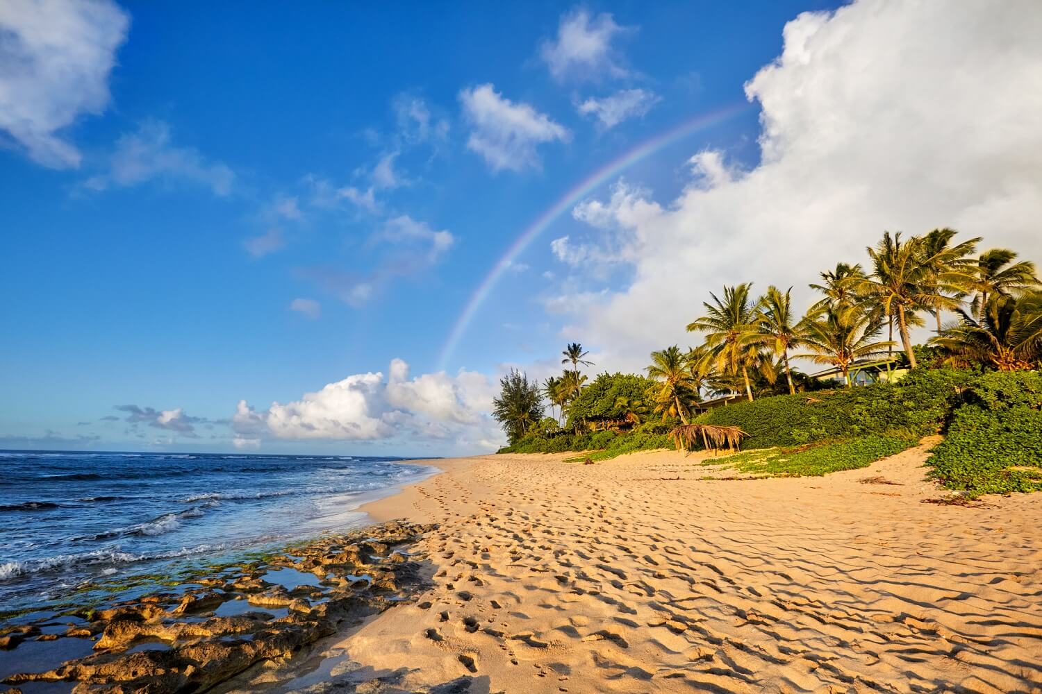 rainbow over hawaiian beach